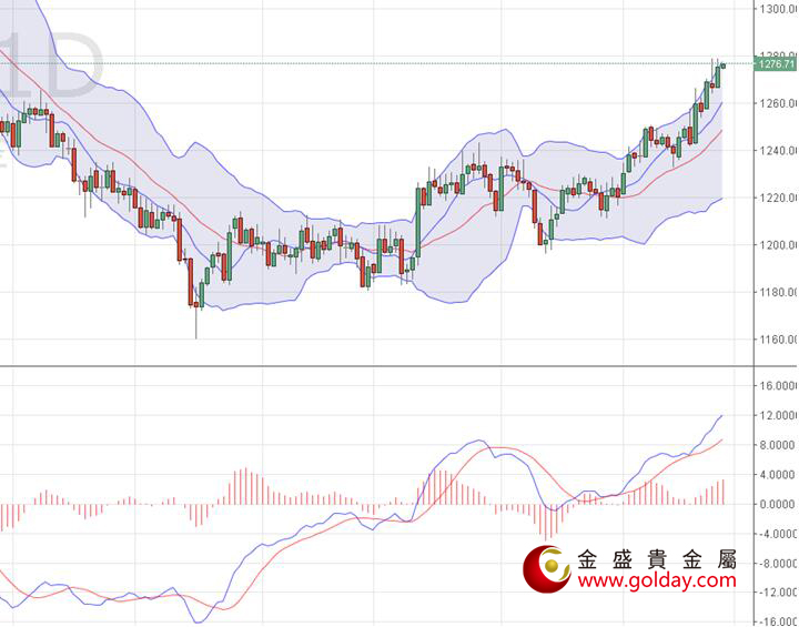 金盛盈富 现货黄金日线图